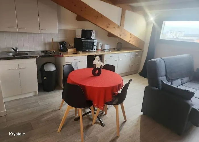 Proche Centre-ville 公寓 绍莱