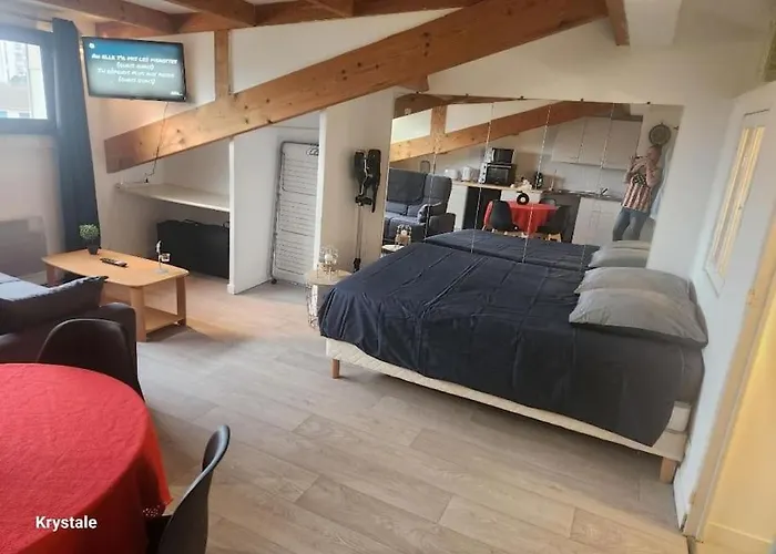 Proche Centre-ville 公寓